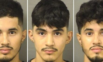 Sheriff’s office reveals precisely how illegal aliens accused of preying upon a child stole into the US