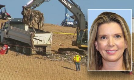 Search for missing Texas mom Suzanne Simpson leads to San Antonio landfill