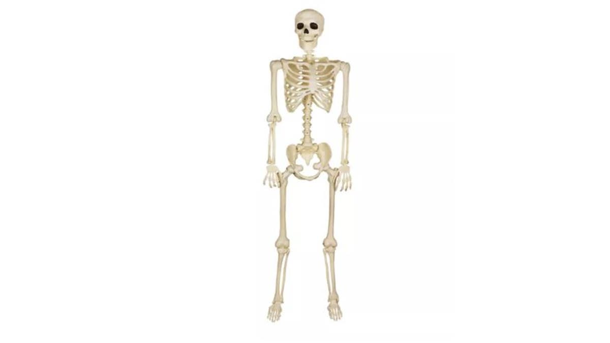 Add some skeleton decor to your Halloween haven.