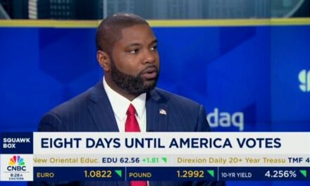 Rep. Byron Donalds unleashes on CNBC host after he says ‘vitriol’ not a feature at Harris rallies