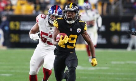 Controversial No-Call On Steelers TD Against Giants Puts NFL Referees In Spotlight