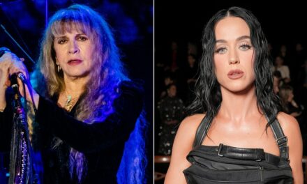 Stevie Nicks tells Katy Perry to ‘get off the internet’