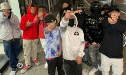 Juvenile illegal immigrant gang members behind robbery spree stay out of jail due to age