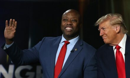 Trump ally Tim Scott mulls bid for top role at Senate campaign arm