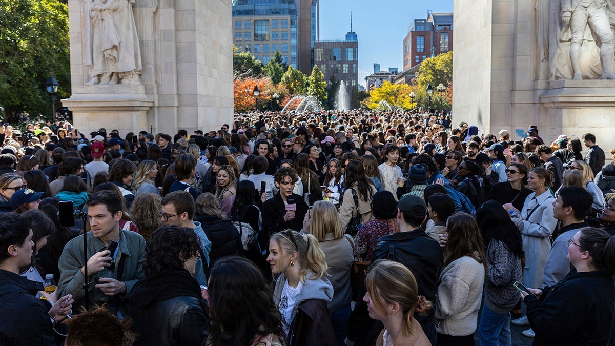 Massive crowd gathered for Timothee Chalamet lookalike contest