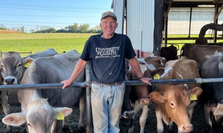 SEE IT: Wisconsin dairy farmer says ‘no question’ Trump admin was ‘much better’ than Biden-Harris