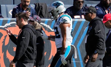 Panthers’ Tommy Tremble fined over play that led to him getting knocked out, concussion