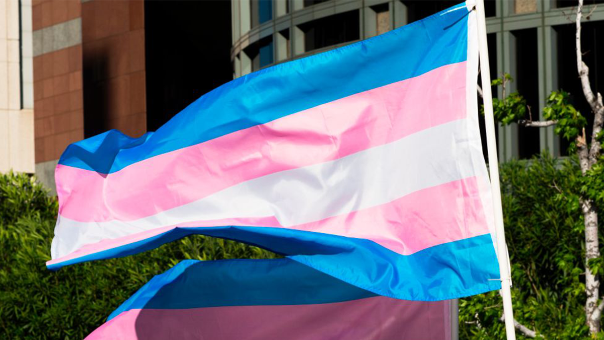 Transgender flags outside on a pole