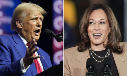 Trump merchandise outsells pro-Harris by striking margin, as Election Day draws near