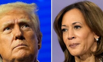 Report: Democrats Despair as Harris’s Economic Message Ignored by Voters Looking to Trump