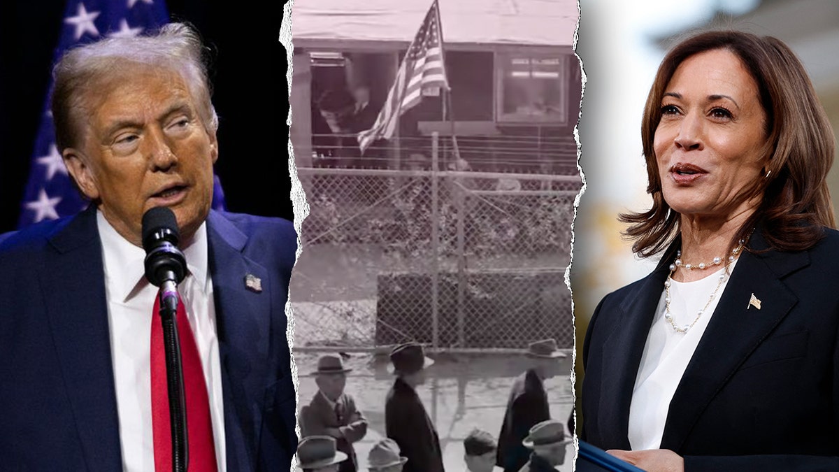 Donald Trump, Kamala Harris, Japanese internment camp