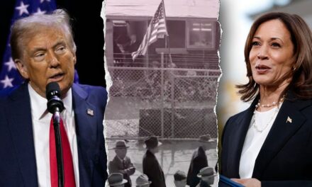 Harris ad suggests Trump will send Asians back to interment camps