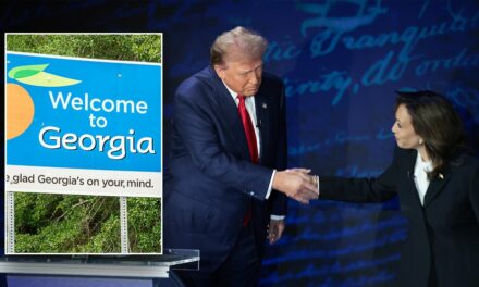 Trump vs Harris Round 2? Voters in key GA county reveal if they want second debate