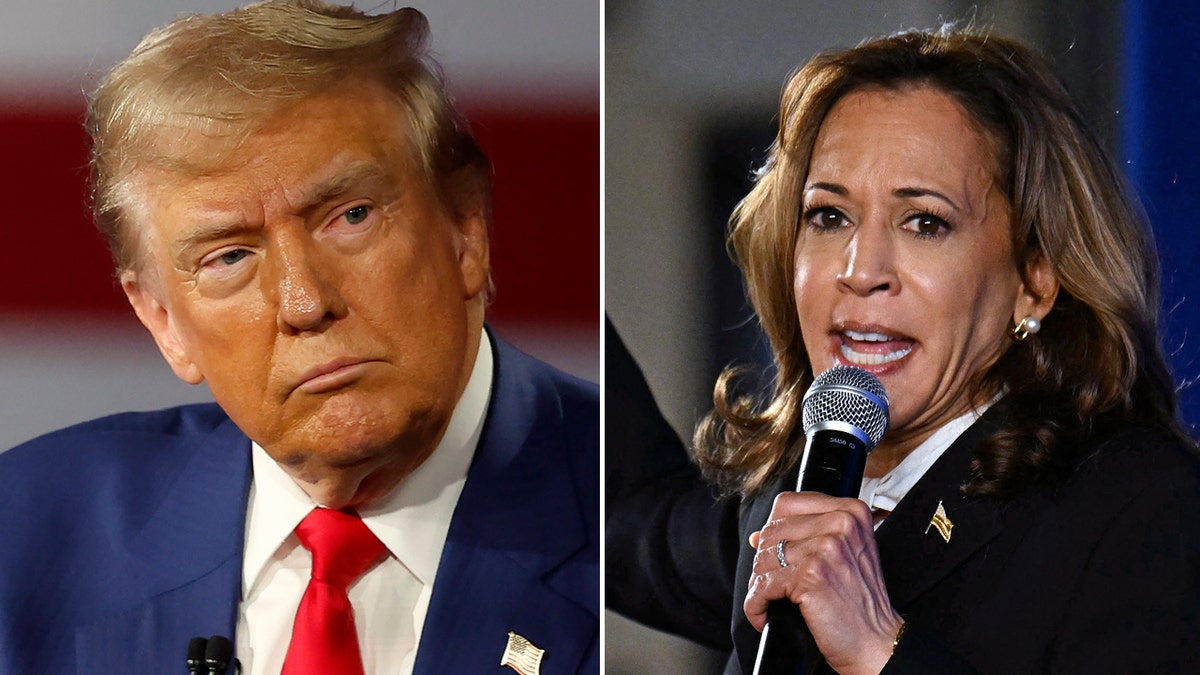 Trump and Harris photo split