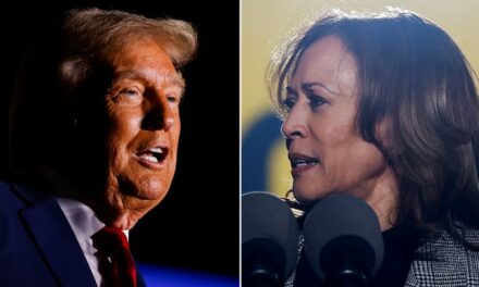 Kamala Harris tells Black voters: ‘Don’t think you’re in Donald Trump’s club’