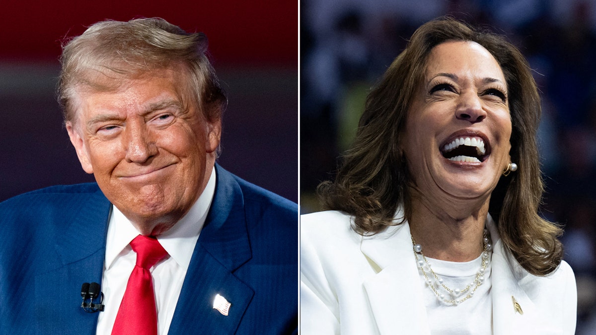 TRUMP-HARRIS