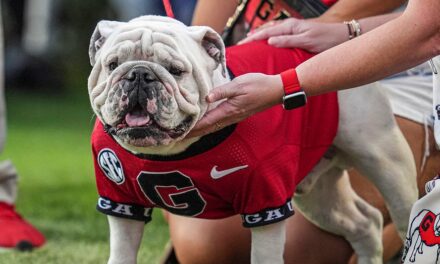 Georgia’s famed mascot staying home for team’s game vs Texas: ‘Crazy as hell’