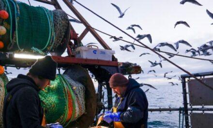 Brexit Betrayal: E.U. to Demand Fishing Rights for UK Waters