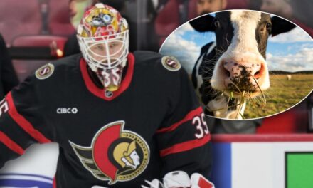 Like Cows In Spring: Linus Ullmark Gave Us An All-Time Goalie Line Ahead Of His First Game With The Senators