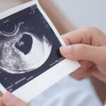 Floridians Challenge Radical Abortion Amendment After Report Reveals Fraud in Petition Process