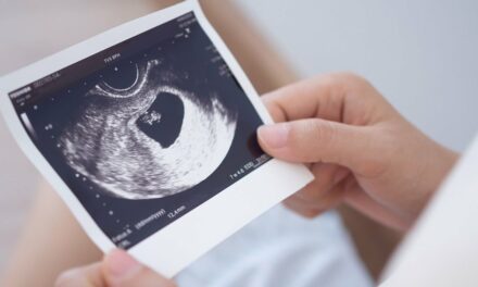 Floridians Challenge Radical Abortion Amendment After Report Reveals Fraud in Petition Process