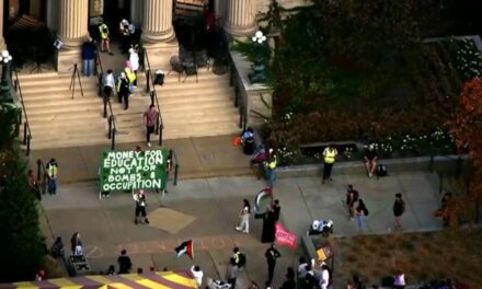 Anti-Israel protesters take over University of Minnesota admin building, 11 arrested