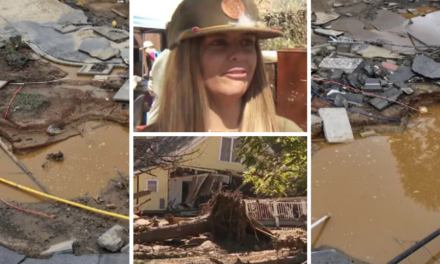 ‘Terrifying and surreal’: Antique shop owner describes hurricane flood waters sweeping pieces away