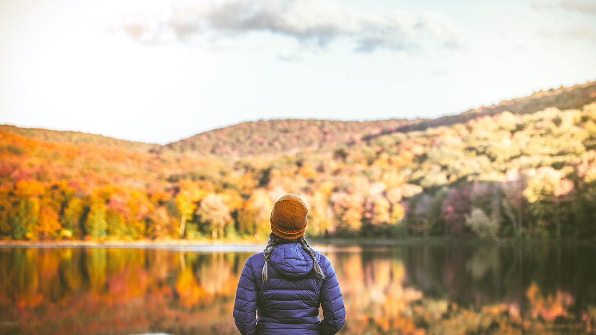 woman overlooking the fall foliage