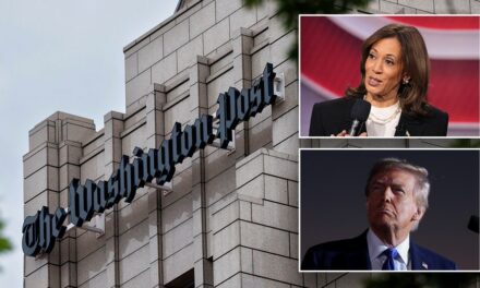 3 reasons leftist journalists throwing tantrum after Kamala endorsements canceled