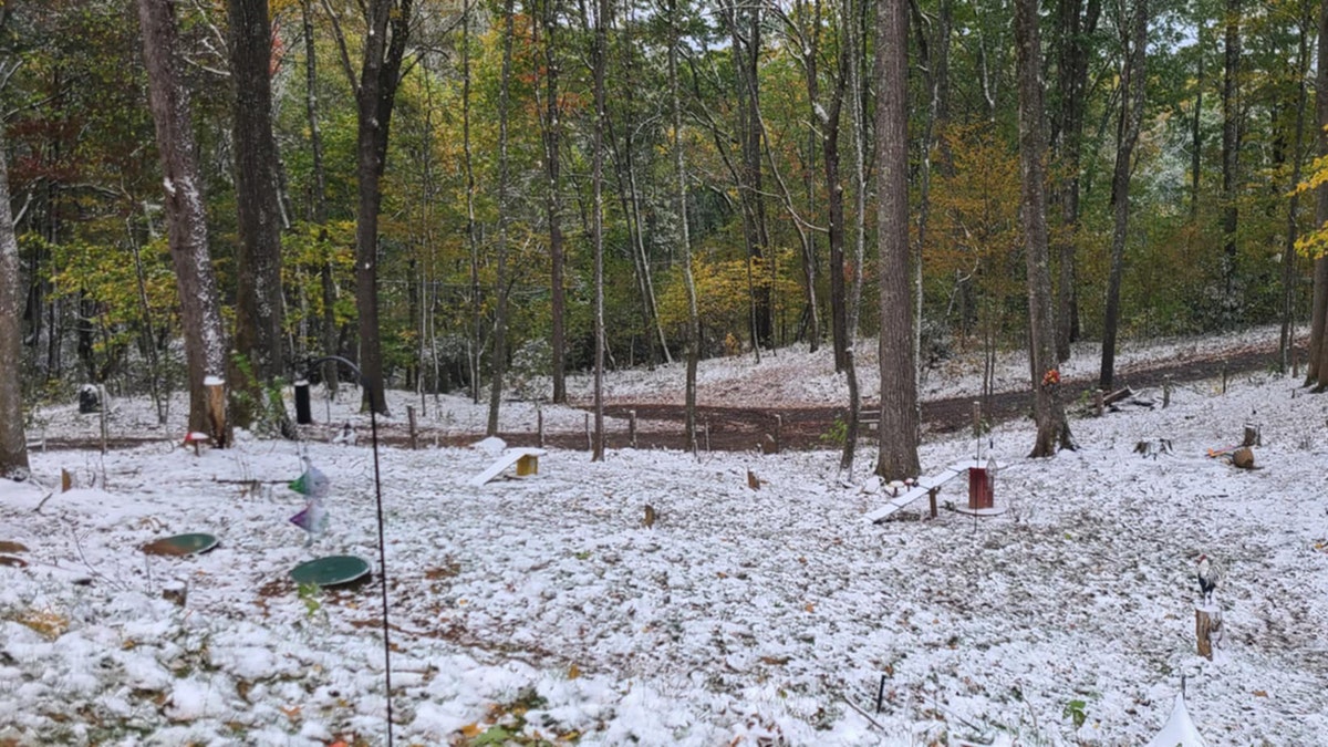 Western NC snow three weeks post Helene