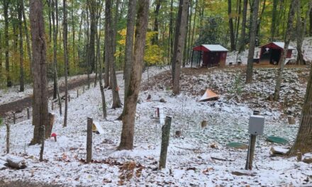 Snow impacts western NC mountain towns recovering from Hurricane Helene: ‘Coldest air of the season so far’