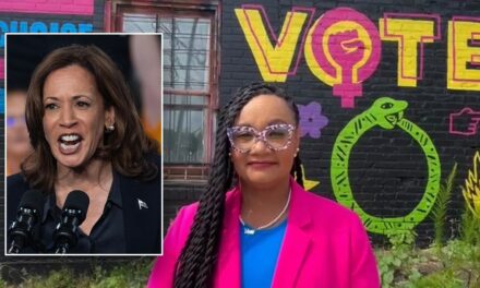 Georgia Dems chair reveals message to undecided GOP voters as Harris works to build broad base