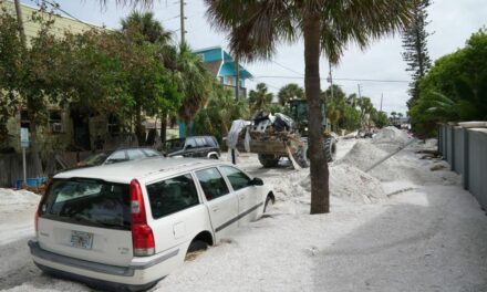 ‘You’re gonna die’: Tampa mayor issues blunt warning to residents ignoring evacuation orders as Hurricane Milton approaches