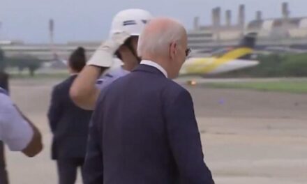 Desperate Reporters SCREAM at the Top of Their Lungs and BEG Joe Biden to Talk to Them as He Departs Brazil (VIDEO)