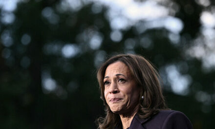 NYT: Left Scrambling for More ‘Resistance’ Funds After over $1 Billion Spent on Failed Harris Campaign