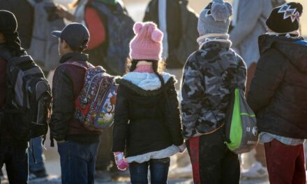 2-year-old crosses border alone seeking parents in US, heartbreaking video from Texas DPS shows