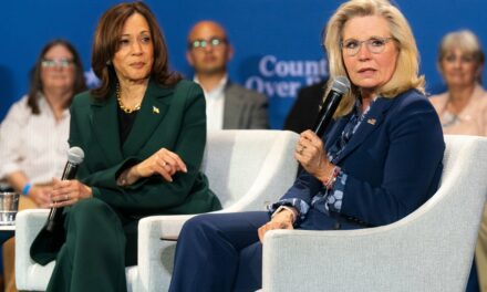 Desperate Leftist Media Wildly Distort Trump’s Liz Cheney Comments 