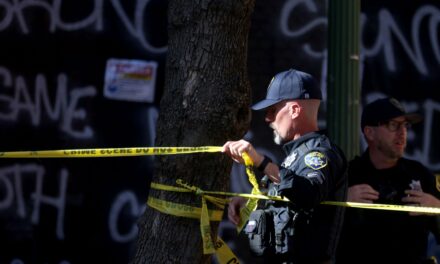 Soft-on-Crime Policies and Politicians Get Smoked by Voters in Blue California