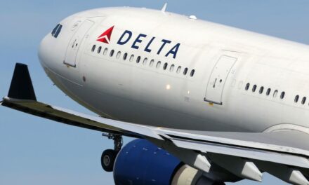 Stowaway found on Delta flight from NYC to Paris when plane was about to land: report