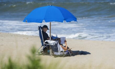 Beach Bum Jill? President Joe Biden’s Sad Sandy Struggle Ignored By First Lady