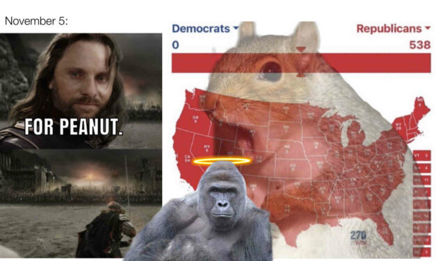 NEVER FORGET: I’ve assembled a list of Peanut the Squirrel memes to inspire patriotic Americans ahead of Election Day 🫡