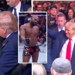 Last night’s UFC fight was a SCENE featuring Trump, Elon, Rogan, Kid Rock, Jon Jones, and a host of others at the Madison Square Garden event