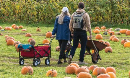 Wife Hoping To Unwind With Weekend Of Stressful Activities