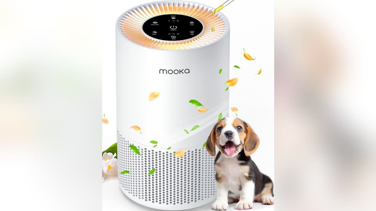 Keep your air free of pet odors with this purifier.