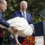 CNBC: The Beating Will Stop When Morale Improves – Thanksgiving Turkey Will Be Historically Cheap