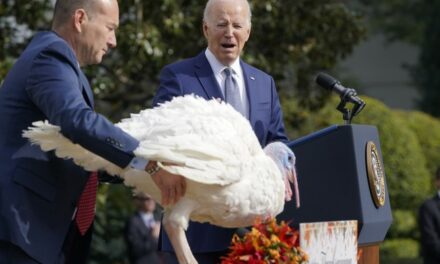 Sad News: Your Liberal Relatives Aren’t Coming to Thanksgiving