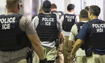 Thousands of ICE Officers Will Be Reassigned From Desk Jobs to Field Work