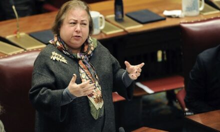 NY State Senator Liz Krueger’s Bold Plan to Make New York … Canada