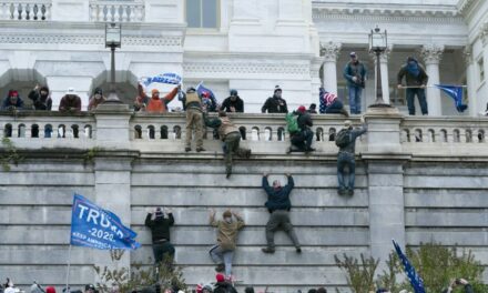 BLM Riots, That’s Why! X Users Explain to Lefty Why Swing Voters Didn’t Find January 6 Disqualifying