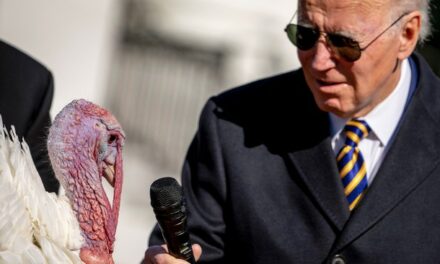 ‘This Can’t Be Over Soon Enough’: Biden’s Final Pardoning of the Turkeys Went as Expected